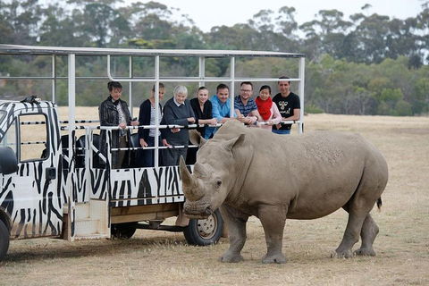 Off-Road Safari At Werribee Open Range Zoo - Tourism Cairns 0