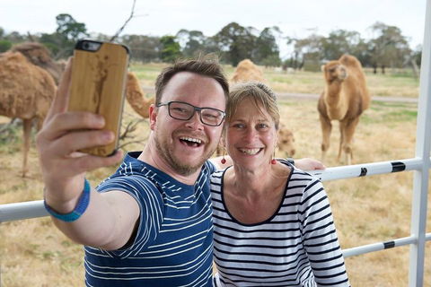 Off-Road Safari At Werribee Open Range Zoo - Tourism Cairns 1