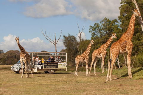 Off-Road Safari At Werribee Open Range Zoo - Tourism Cairns 3