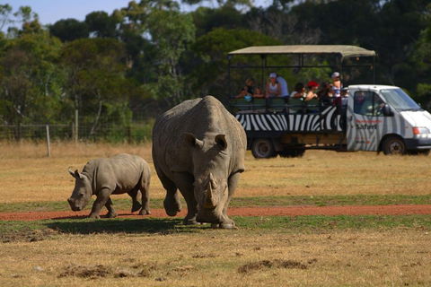 Off-Road Safari At Werribee Open Range Zoo - Tourism Cairns 5