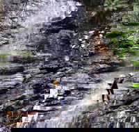 Full-Day Canyoning Experience at Stunning Empress Canyon - Tourism Cairns