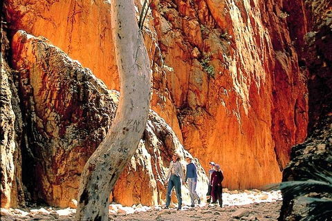 West MacDonnell Ranges Day Trip From Alice Springs - Tourism Cairns 3