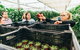 Yarra Valley Local Produce And Wine Tasting Tour - thumb 1