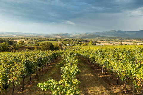 Yarra Valley Local Produce And Wine Tasting Tour - Tourism Cairns 3