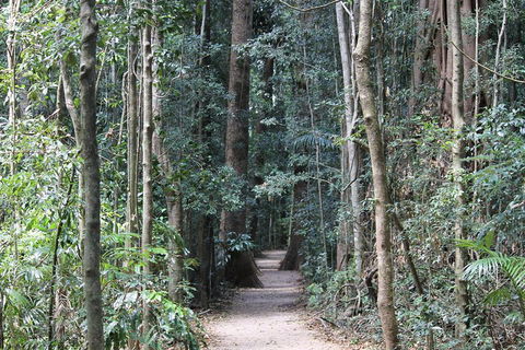 Eumundi Markets And Sunshine Coast Day Trip From Brisbane - Tourism Cairns 4