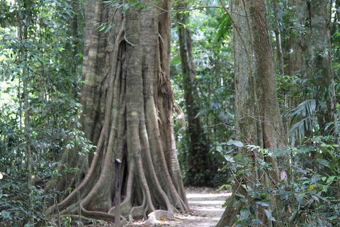 Noosa And Sunshine Coast Hinterland Day Trip From Brisbane - Tourism Cairns 3