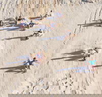 Unlimited Sandboarding - Tourism Cairns
