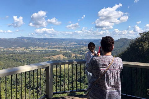 Sunshine Coast Private Scenic Guided Tour Inc. 2-Course Gourmet Lunch - Tourism Cairns 4