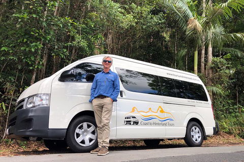 Sunshine Coast Hinterland Rainforest, Views And Montville Day Tour Inc. Lunch - Tourism Cairns 1