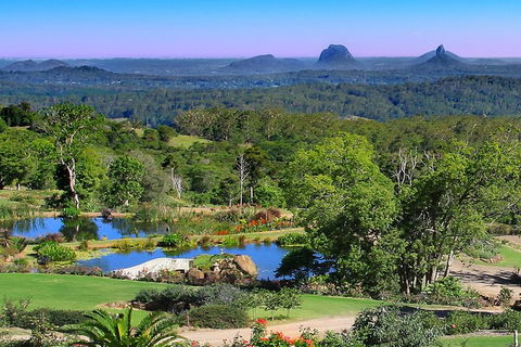 Sunshine Coast Hinterland Rainforest, Views And Montville Day Tour Inc. Lunch - Tourism Cairns 5