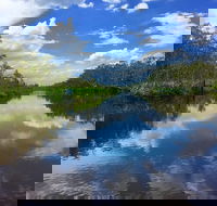 Noosa Everglades Serenity Cruise  Highlights Tour Inc. Lunch  Cruise - Tourism Cairns