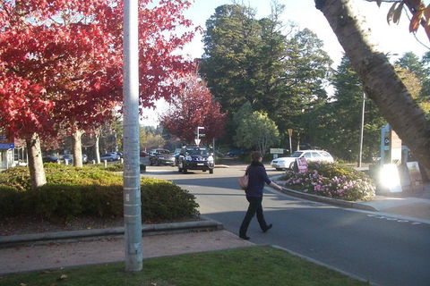 PRIVATE All-Day Blue Mountains Tour With Professional Guide For Up To 4 People - Tourism Cairns 1