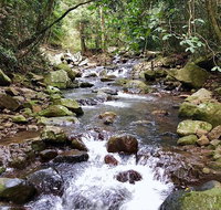 Springbrook Full Day Tour - Tourism Cairns