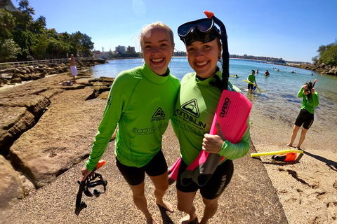 Manly Snorkel Trip And Nature Walk With Local Guide - Tourism Cairns 1
