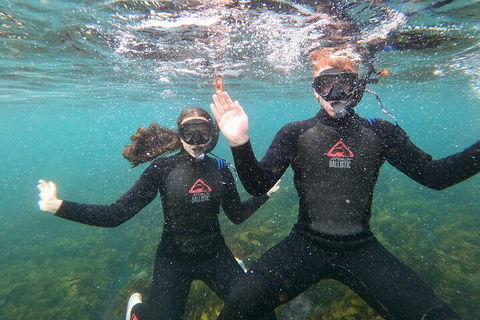 Manly Snorkel Trip And Nature Walk With Local Guide - Tourism Cairns 3