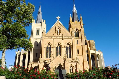 Perth Scavenger Hunt: Perched On A Swan - Tourism Cairns 1