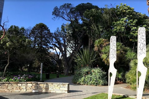 Perth Scavenger Hunt: Perched On A Swan - Tourism Cairns 2