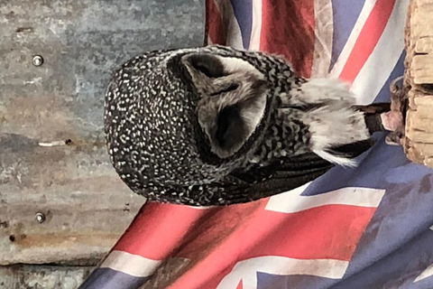 Perth Hills - Wildlife, Art & Gastronomy - Tourism Cairns 5