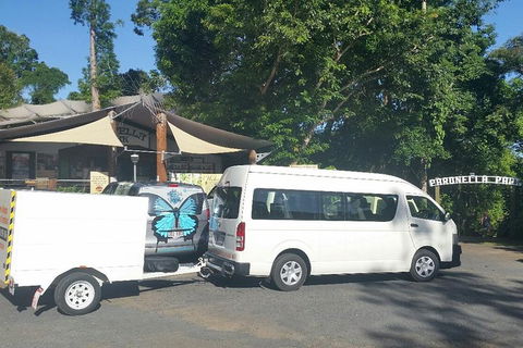Airport Transfer To Or From Cairns Hotels For Up To 13 People - Tourism Cairns 4