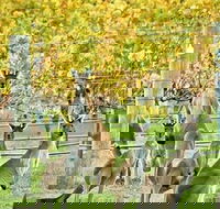 Margaret River Indulge and Discover Day Tour - Tourism Cairns