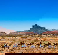 Alice Springs Camel Tour - Tourism Cairns