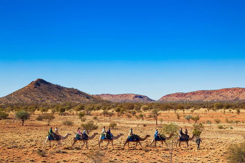 Alice Springs Camel Tour - Tourism Cairns 0