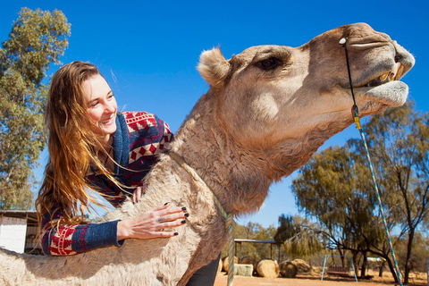 Alice Springs Camel Tour - Tourism Cairns 2