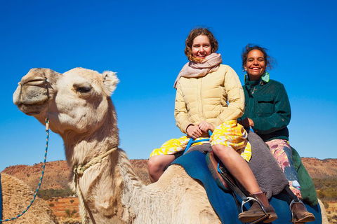 Alice Springs Camel Tour - Tourism Cairns 3