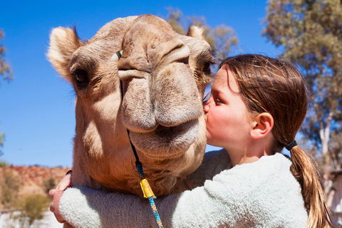 Alice Springs Camel Tour - Tourism Cairns 5