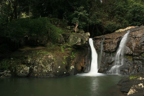 Hinterland Magic & Glow-worm Experience - Tourism Cairns 2