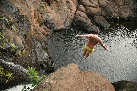 Hinterland Magic & Glow-worm Experience - Tourism Cairns 3