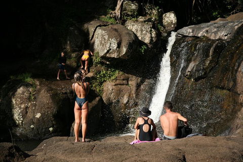 Hinterland Magic & Glow-worm Experience - Tourism Cairns 5