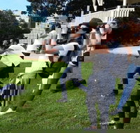 Smartphone  Camera Photography Basics - Tourism Cairns