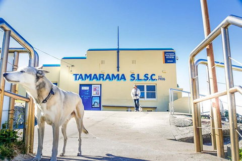 Smartphone & Camera Photography Basics - Tourism Cairns 5