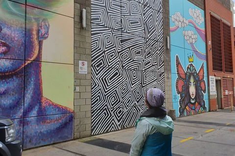 Jimmy C Street Art Walking Tour - Tourism Cairns 2