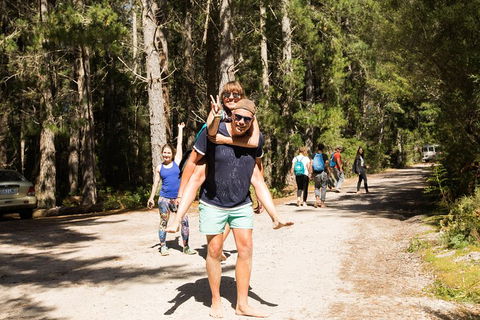 7-Day Best Of Tasmania Adventure Experience From Hobart (flexible Ticket) - Tourism Cairns 5