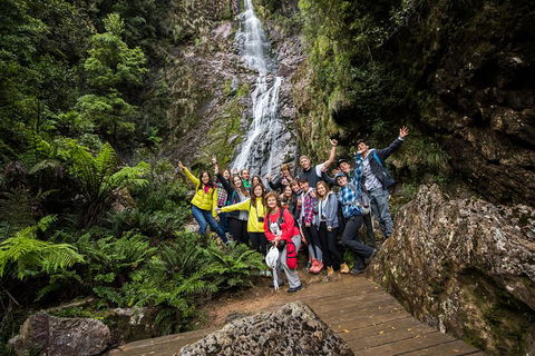 5-Day Lap Of Tasmania Tour From Hobart (flexible Ticket) - Tourism Cairns 0