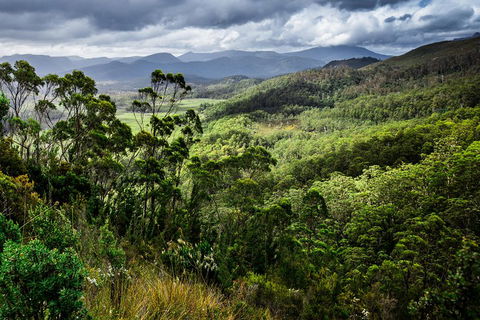 5-Day Lap Of Tasmania Tour From Hobart (flexible Ticket) - Tourism Cairns 2