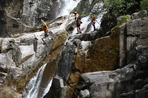 Behana Canyon Rainforest And Waterfall Experience - Tourism Cairns 2