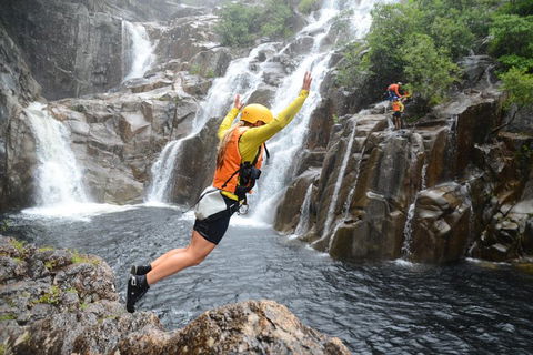 Behana Canyon Rainforest And Waterfall Experience - Tourism Cairns 3