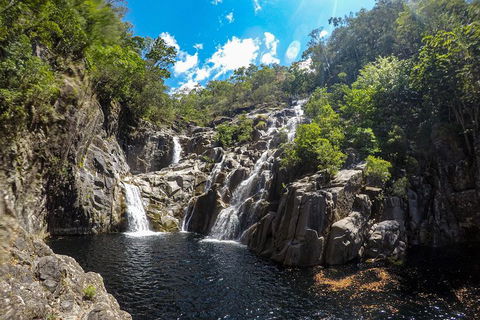 Behana Canyon Rainforest And Waterfall Experience - Tourism Cairns 5