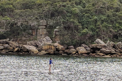 Manly & Sydney's Northern Beaches With 'Personalised Sydney Tours' - Tourism Cairns 3