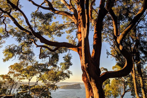 Manly & Sydney's Northern Beaches With 'Personalised Sydney Tours' - Tourism Cairns 4
