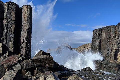 Erupting Blowholes And Ancient Rainforests With 'Personalised Sydney Tours' - Tourism Cairns 0