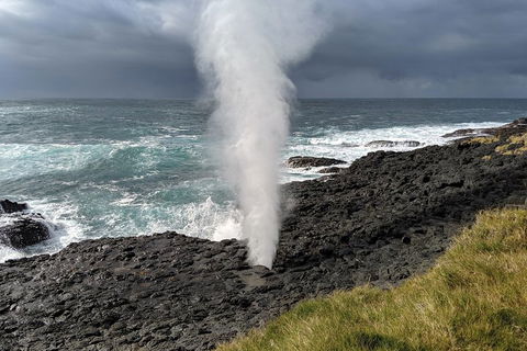 Erupting Blowholes And Ancient Rainforests With 'Personalised Sydney Tours' - Tourism Cairns 1