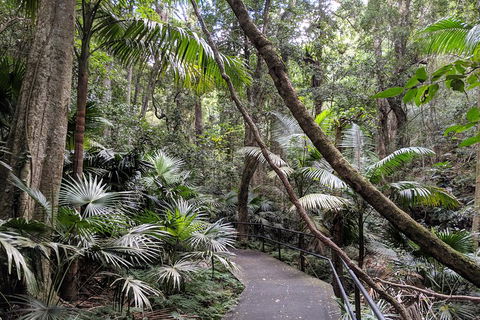 Erupting Blowholes And Ancient Rainforests With 'Personalised Sydney Tours' - Tourism Cairns 2
