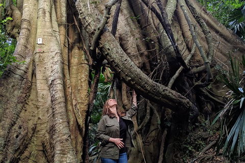 Erupting Blowholes And Ancient Rainforests With 'Personalised Sydney Tours' - Tourism Cairns 4
