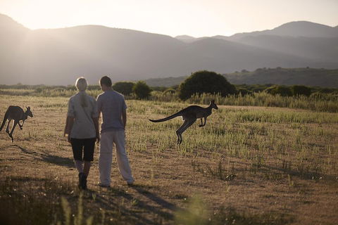 Overnight Daylesford And Macedon Ranges Gourmet Food Trail Tour From Melbourne - Tourism Cairns 1