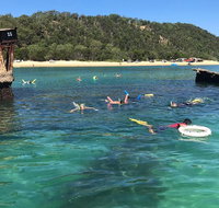 All Inclusive Dolphin and Tangalooma Wrecks Cruise - Tourism Cairns