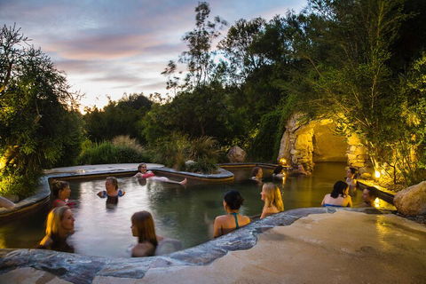 Peninsula Hot Springs & Wine Tasting - Day Tour - Tourism Cairns 3
